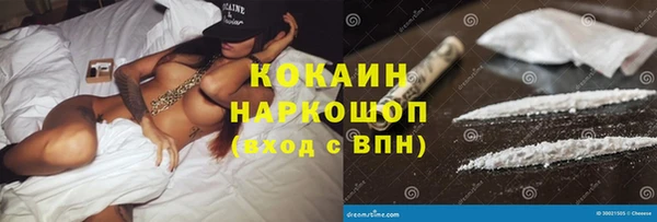 сатива Аркадак