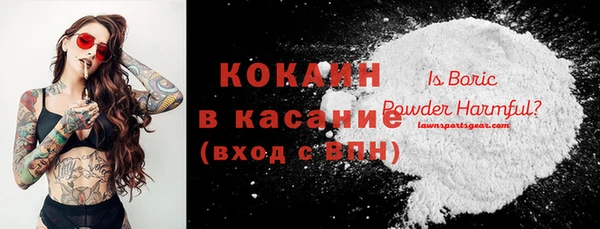 сатива Аркадак