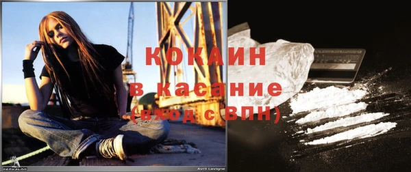 сатива Аркадак