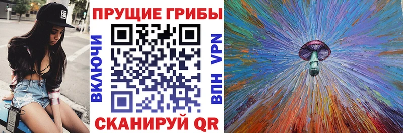 Псилоцибиновые грибы ЛСД  наркотики  Куйбышев 